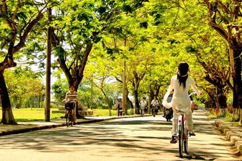 Du lịch Huế mùa thu - Mưa giăng lá đỏ