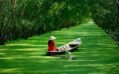 Điểm hẹn miền Tây mùa nước nổi