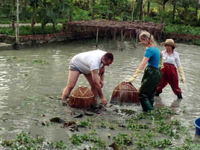 Du lịch đồng quê Việt Nam