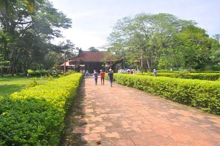 Cây ổi &#x27;cứ chạm là cười&#x27; độc nhất vô nhị ở Việt Nam