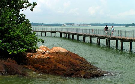 Sống chậm tại Ubin