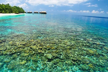 Hành trình khám phá đảo Coral Thái Lan