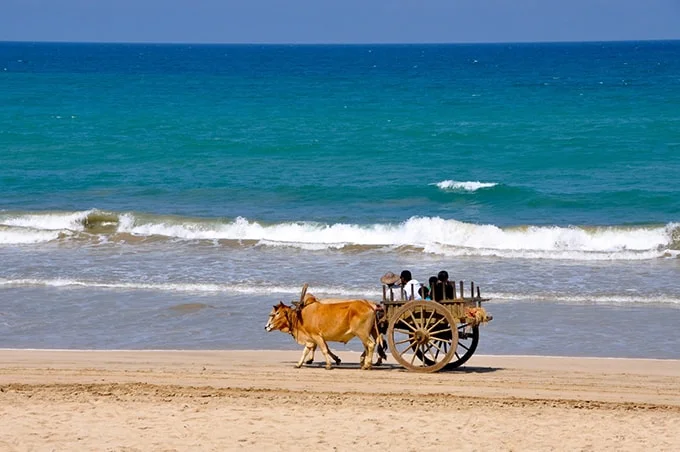 'Ngất ngây' với Ngapaly thơ mộng xứ sở chùa Vàng