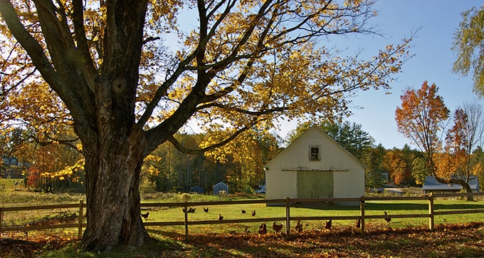 Những điểm thu gây nhung nhớ trên giới