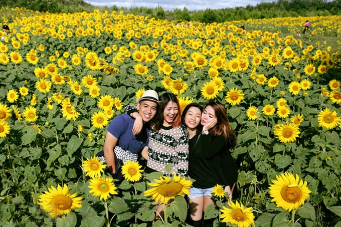 Tháng 12 Đà Lạt có gì hấp dẫn?