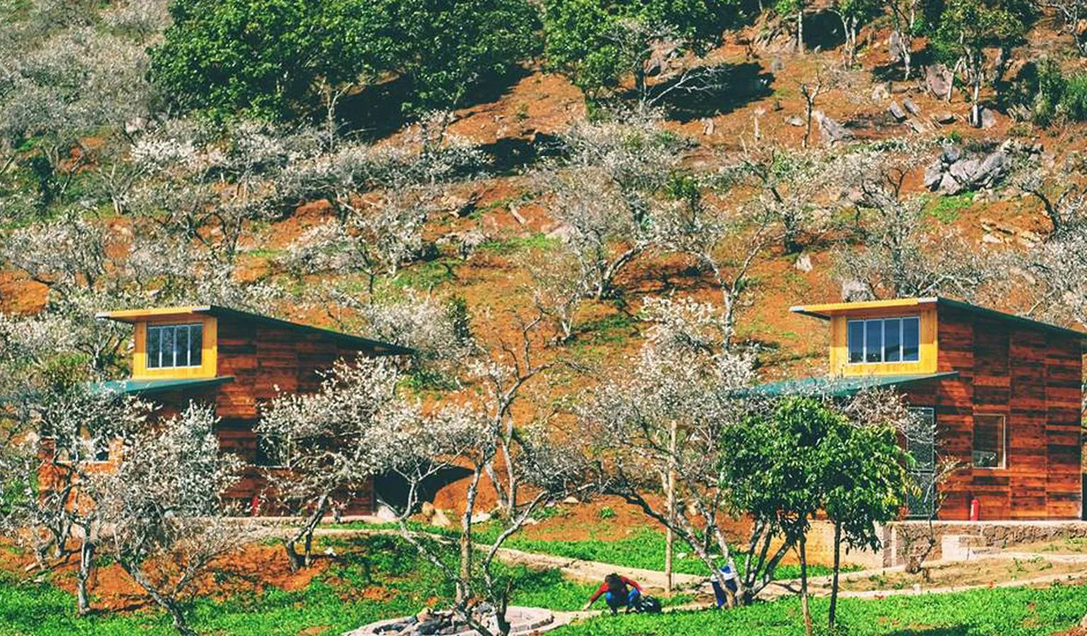 Cùng nhau trốn tại V House Mộc Châu để thả hồn theo chốn mộng mơ