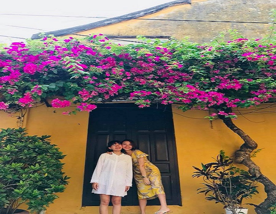 Giàn hoa giấy đẹp lịm tim ở Hội An, cứ đứng vào là có ngay ảnh đẹp