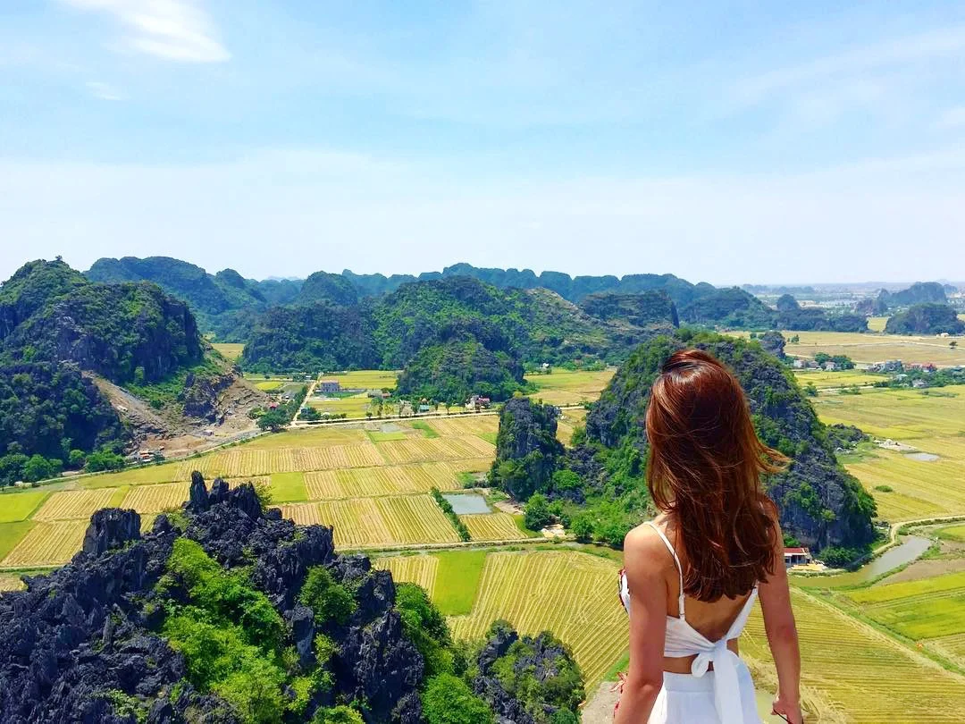 Đẹp mê hồn cánh đồng lúa ở Tam Cốc vào mùa đẹp nhất trong năm