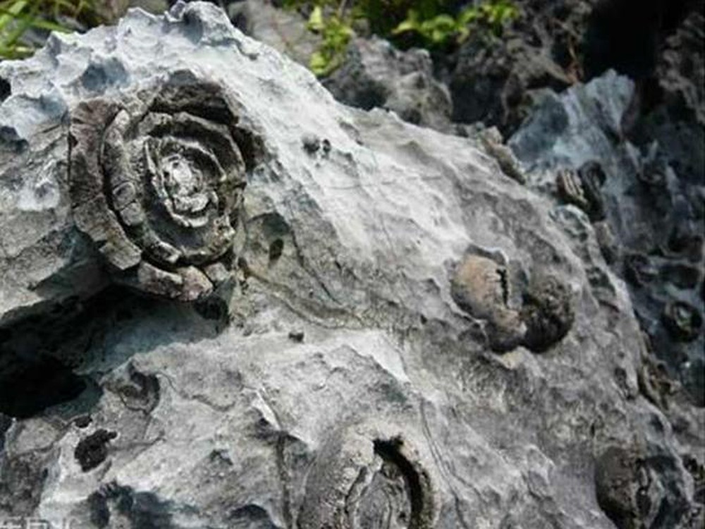 Bất ngờ với cảnh tượng đá nở hoa như một tác phẩm nghệ thuật tại Trung Quốc