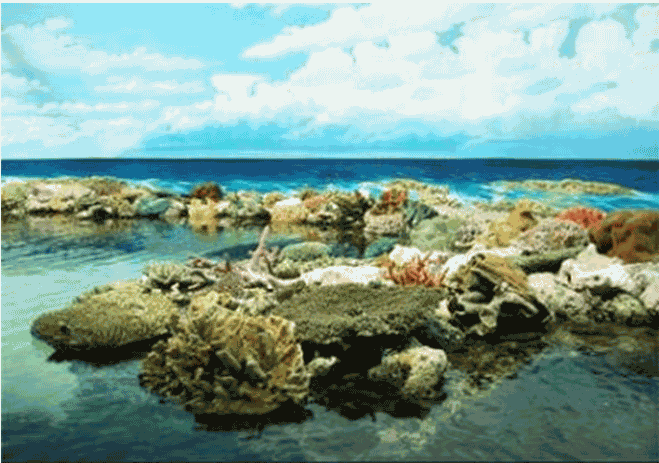 Du lịch Thái Lan - Đắm say với đảo san hô