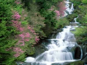 Du lịch Nhật Bản - Hòa mình vào thiên đường Nikko