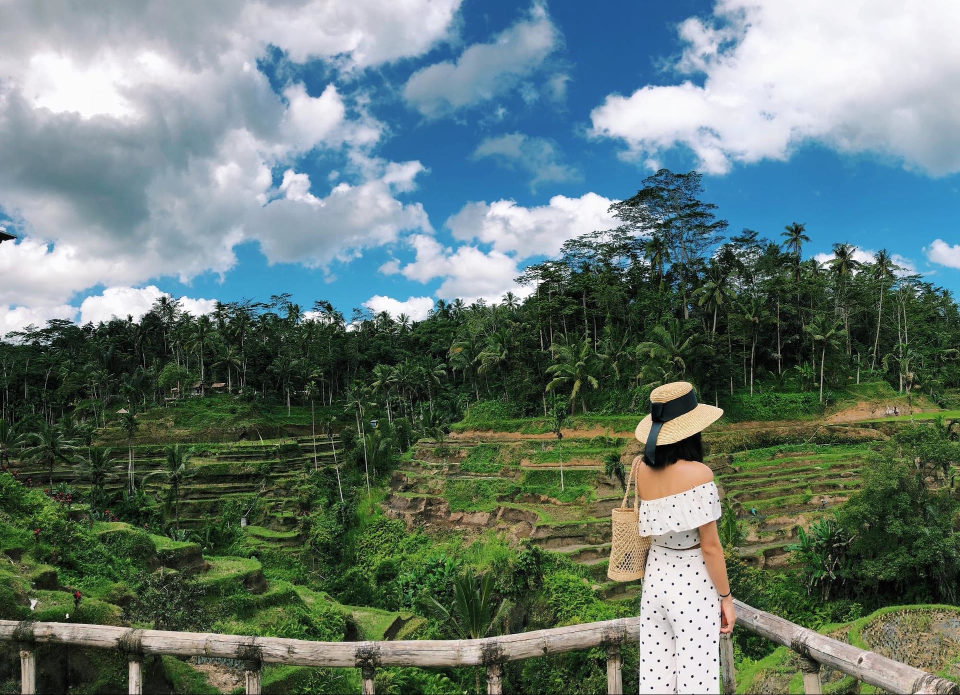 Khám phá nét đặc trưng của ruộng bậc thang ở Bali