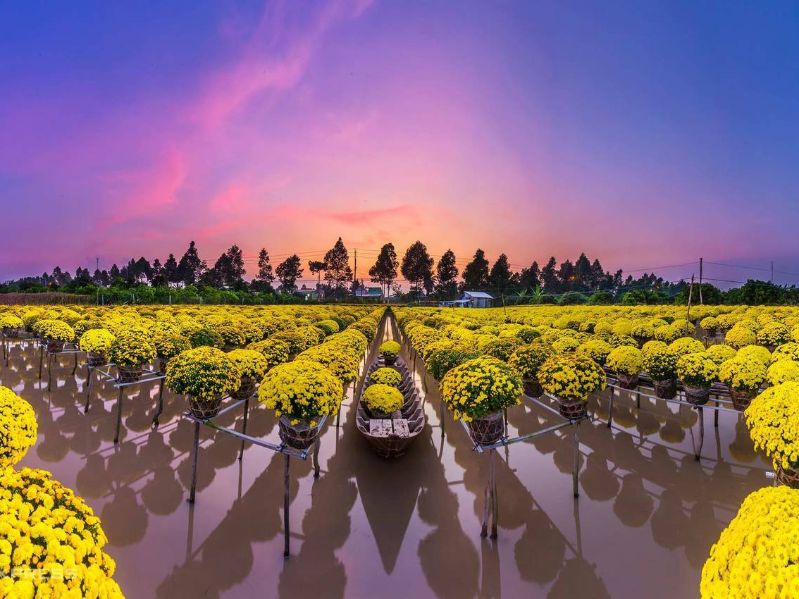 Du lịch Làng hoa Sa Đéc nhân dịp tết nguyên đán 2021