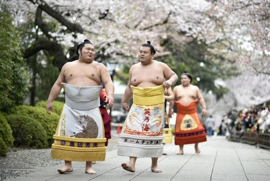 Lễ hội Sumo truyền thống tại Nhật Bản