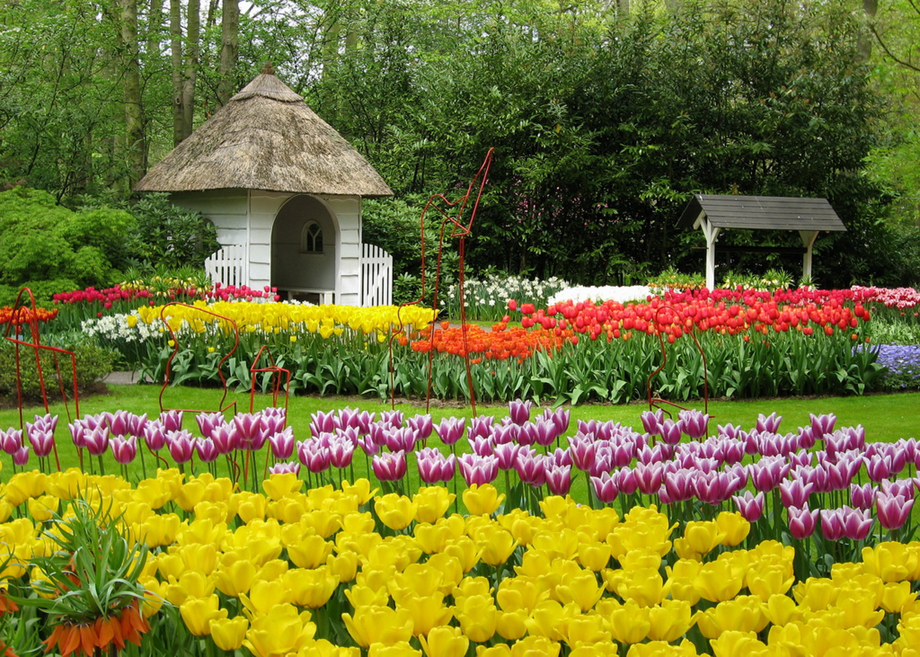 4 trải nghiệm du khách nhất định phải thử khi đến du lịch Hà Lan