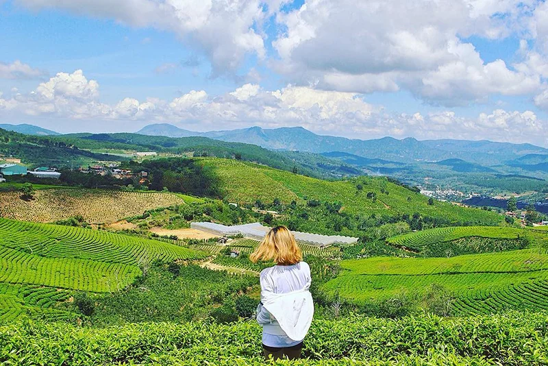 Top 5 điểm check in chất ngất tại Đà Lạt xuân 2020