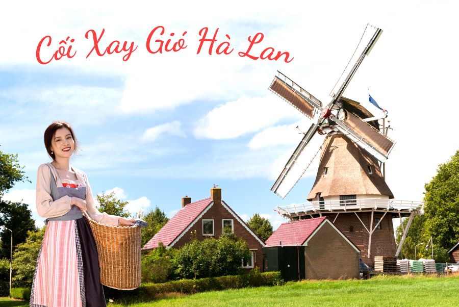 Bí mật thú vị về cối xay gió Hà Lan