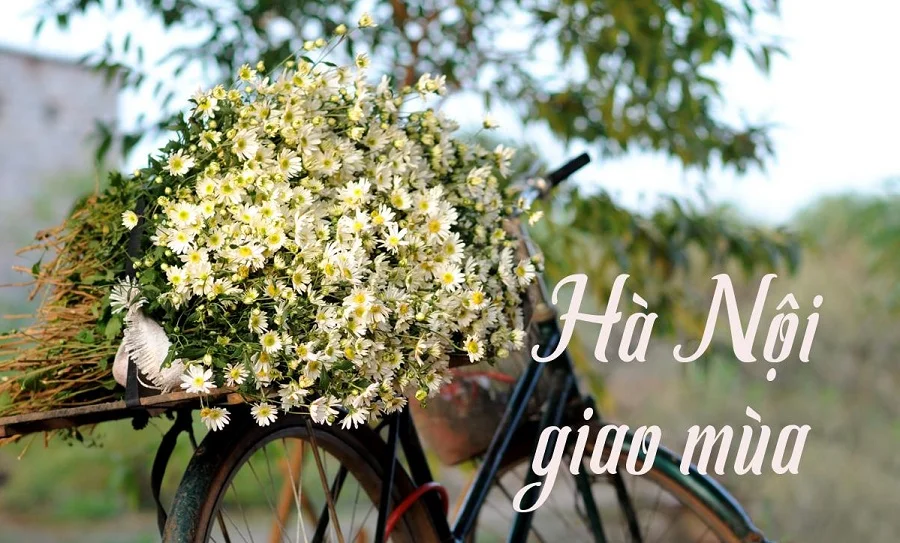 Du lịch Hà Nội ngày đông có gì hấp dẫn? Khám phá ngay