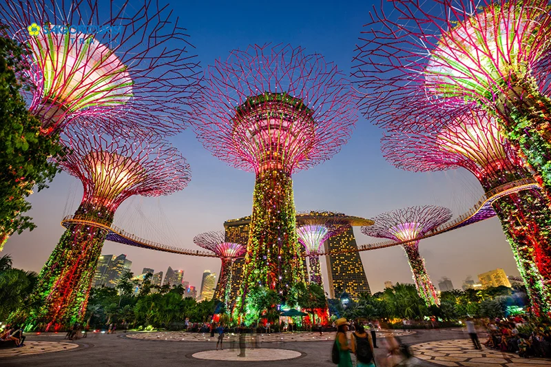 Du lịch Singapore dịp Tết có gì hấp dẫn?