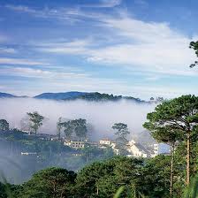 Du lịch Đà Lạt ngắm sương mù và ngàn hoa