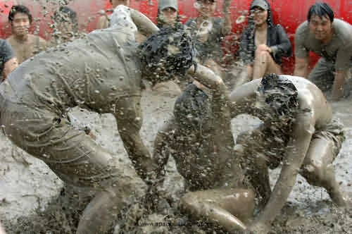 Vui hết mình cùng mùa hè Hàn Quốc