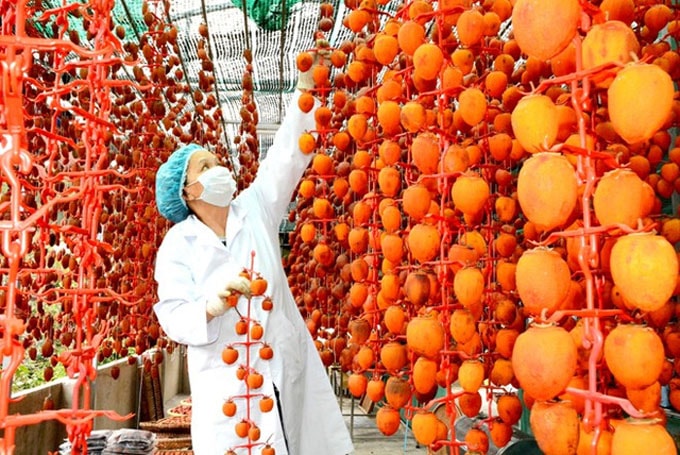 Hồng Đà Lạt sấy khô theo công nghệ Nhật Bản