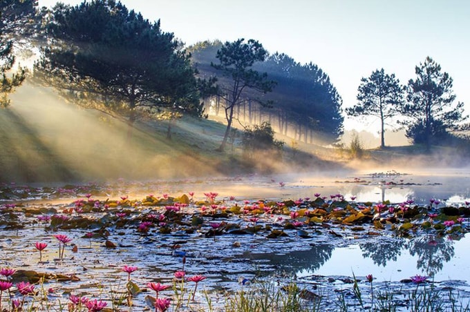 Những bức ảnh đẹp hút hồn của Đà Lạt