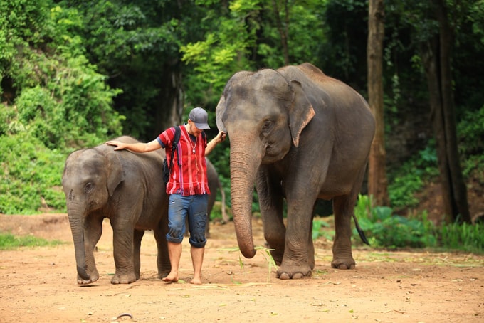 Khám phá Chiang Mai theo túi tiền của bạn