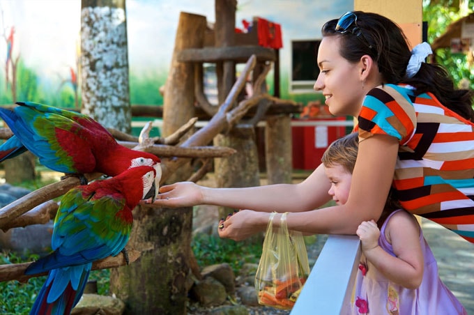 Thiên đường vui chơi cho trẻ em ở Singapore