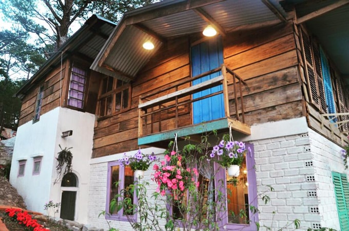 Trải nghiệm homefarm giữa rừng thông Đà Lạt