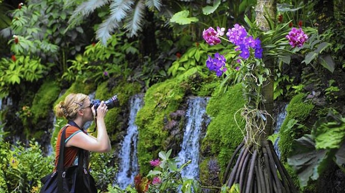 3 khu vườn đẹp nhất ở Singapore