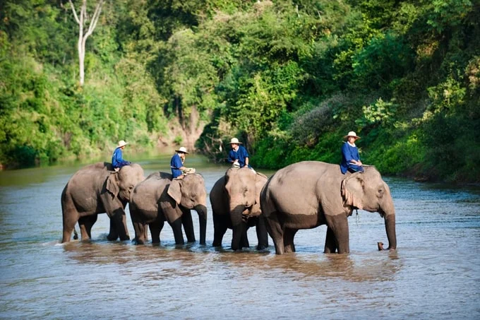 Khám phá cố đô Lampang yên bình