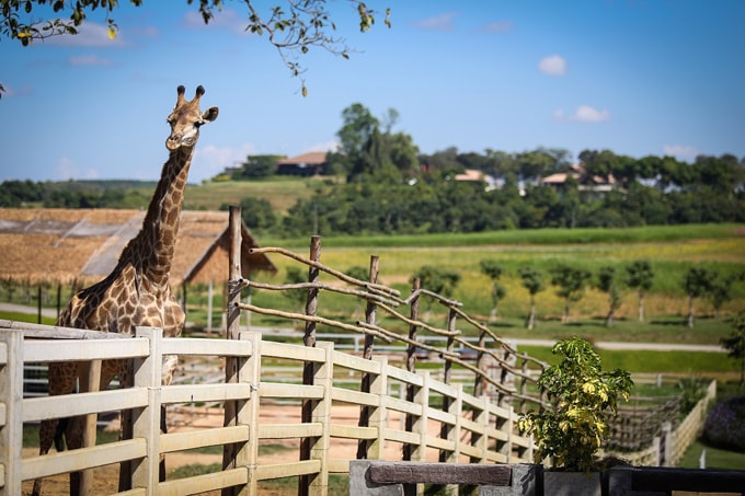 Những không gian đậm chất Âu giữa lòng Thái Lan