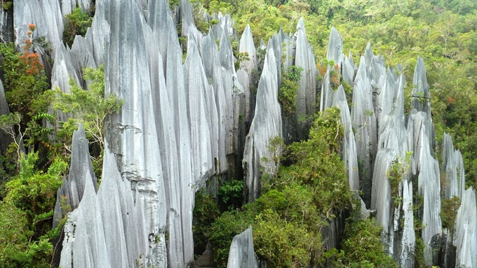 Khám phá vườn quốc gia Gunung Mulu Malaysia