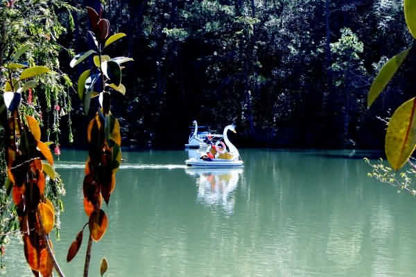 Du ngoạn Thung lũng Tình yêu trong tour Đà Lạt