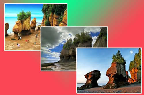 Hành trình khám phá đất nước của những người nhập cư