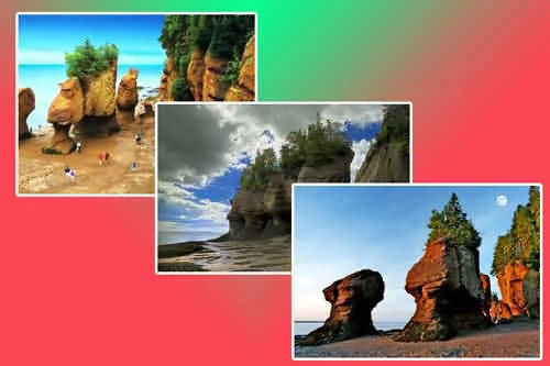 Hành trình khám phá đất nước của những người nhập cư