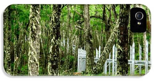 El Calafate đẹp từ truyền thuyết