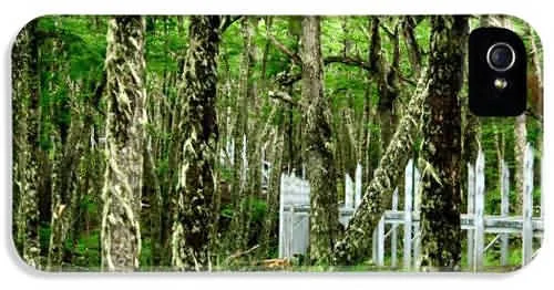 El Calafate đẹp từ truyền thuyết