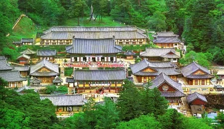 Thưởng ngoạn chùa Haeinsa trên núi Gaya, Hàn Quốc