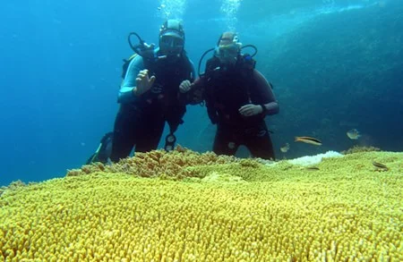 Khám phá 4 hòn đảo đẹp nhất ở Nha Trang