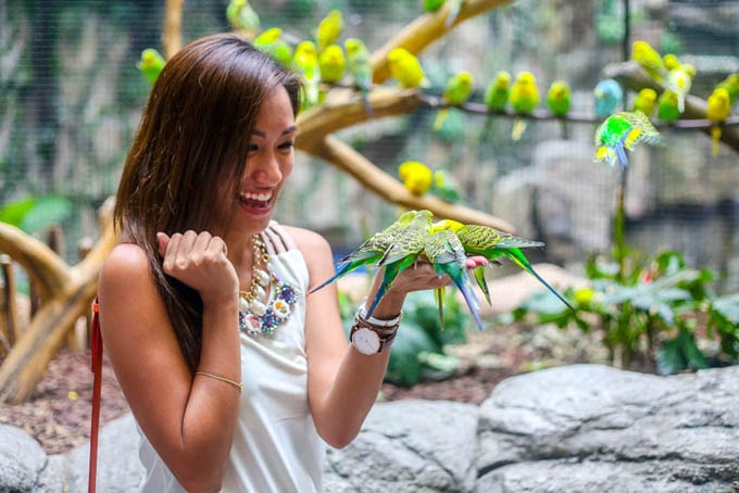 Gyeonggi - Điểm đến mới cho du khách Việt