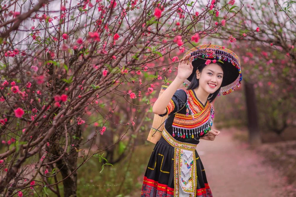 Khám phá Mộc Châu với hàng loạt loại hoa nở báo hiệu mùa xuân về