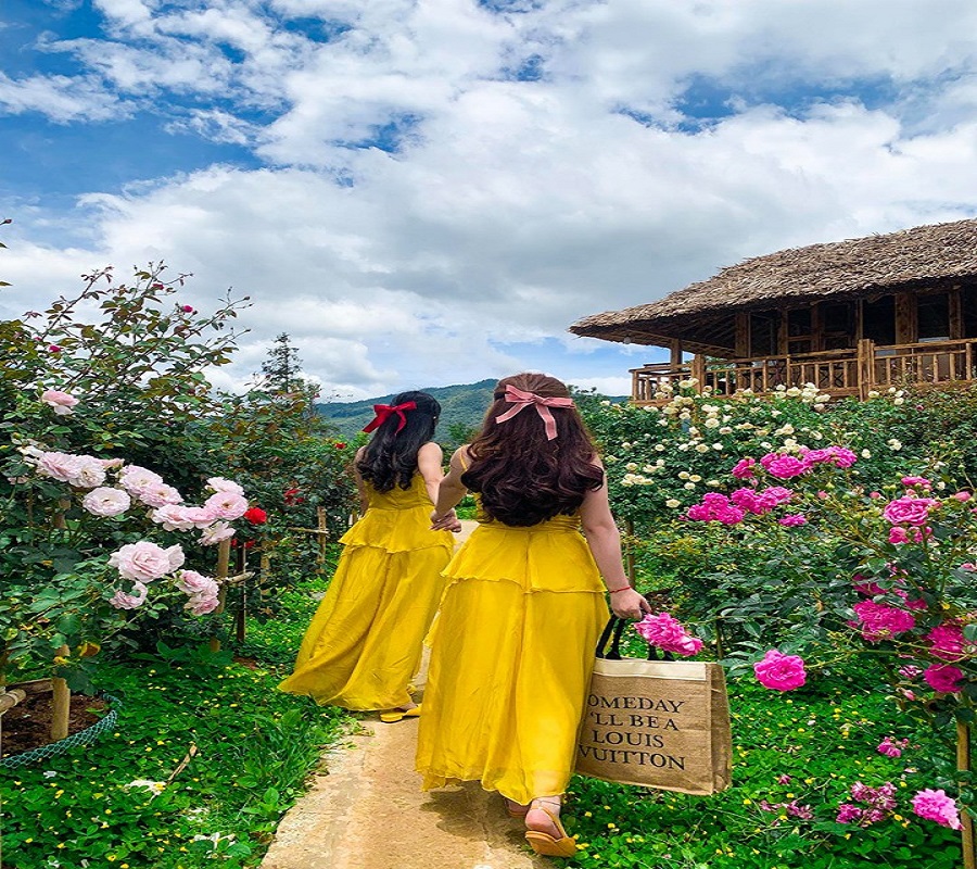 Rừng thông Bản Áng Mộc Châu - Khám phá Đà Lạt thu nhỏ giữa vùng Tây Bắc