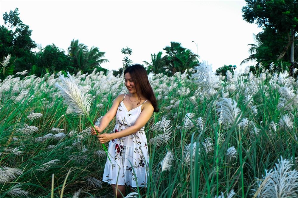 Hà Nội chớm đông với ngọn đồi hoa cỏ lau trắng đẹp lịm tim