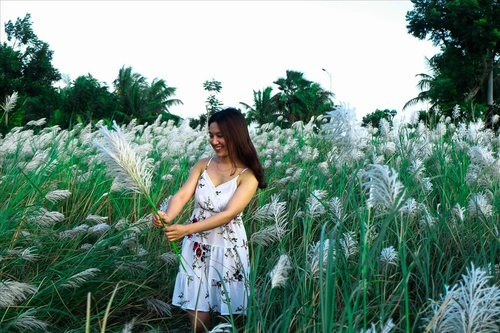 Hà Nội chớm đông với ngọn đồi hoa cỏ lau trắng đẹp lịm tim