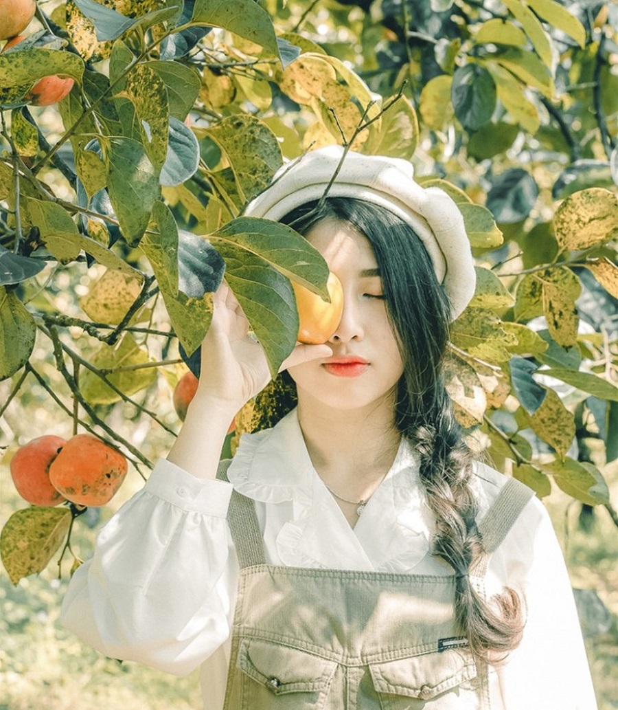 Đắm say trước vườn hồng chín mọng, thu hút du khách ở Đà Lạt