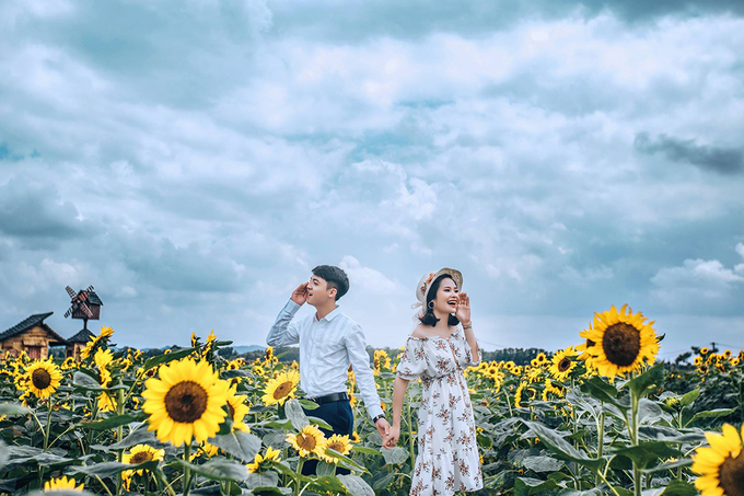 Lạc giữa cánh đồng hoa mặt trời rực rỡ ở Đà Lạt vào mùa hè 2019