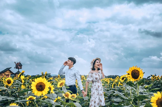Lạc giữa cánh đồng hoa mặt trời rực rỡ ở Đà Lạt vào mùa hè 2019