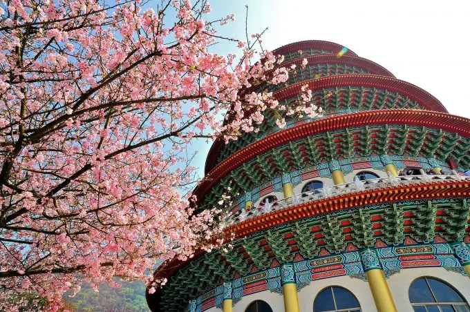 Đâu là nơi ngắm hoa anh đào lý tưởng?